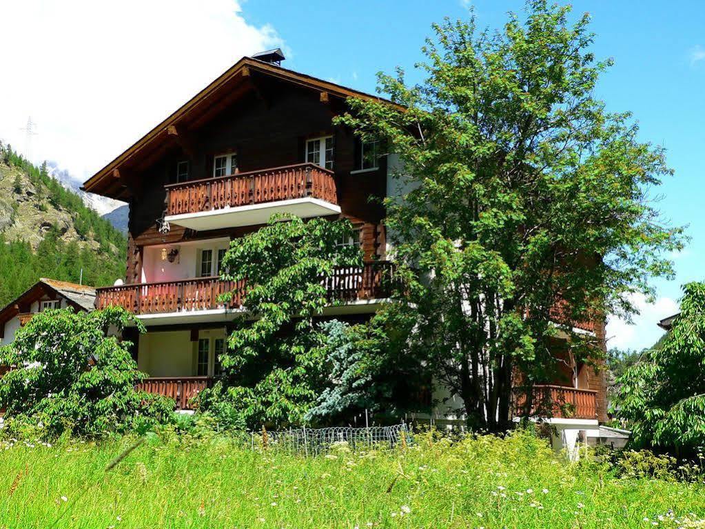 Haus Alpenperle Apartment Saas-Almagell ภายนอก รูปภาพ