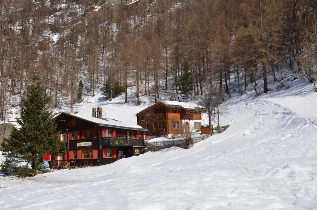 Haus Alpenperle Apartment Saas-Almagell ภายนอก รูปภาพ