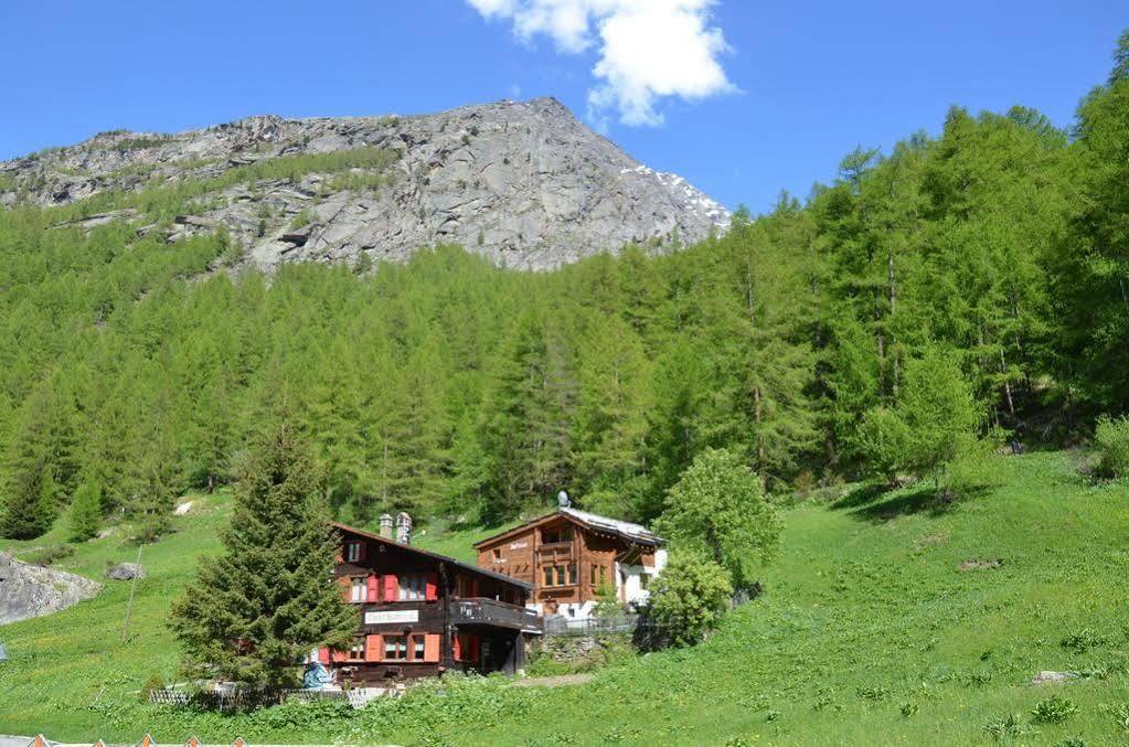 Haus Alpenperle Apartment Saas-Almagell ภายนอก รูปภาพ