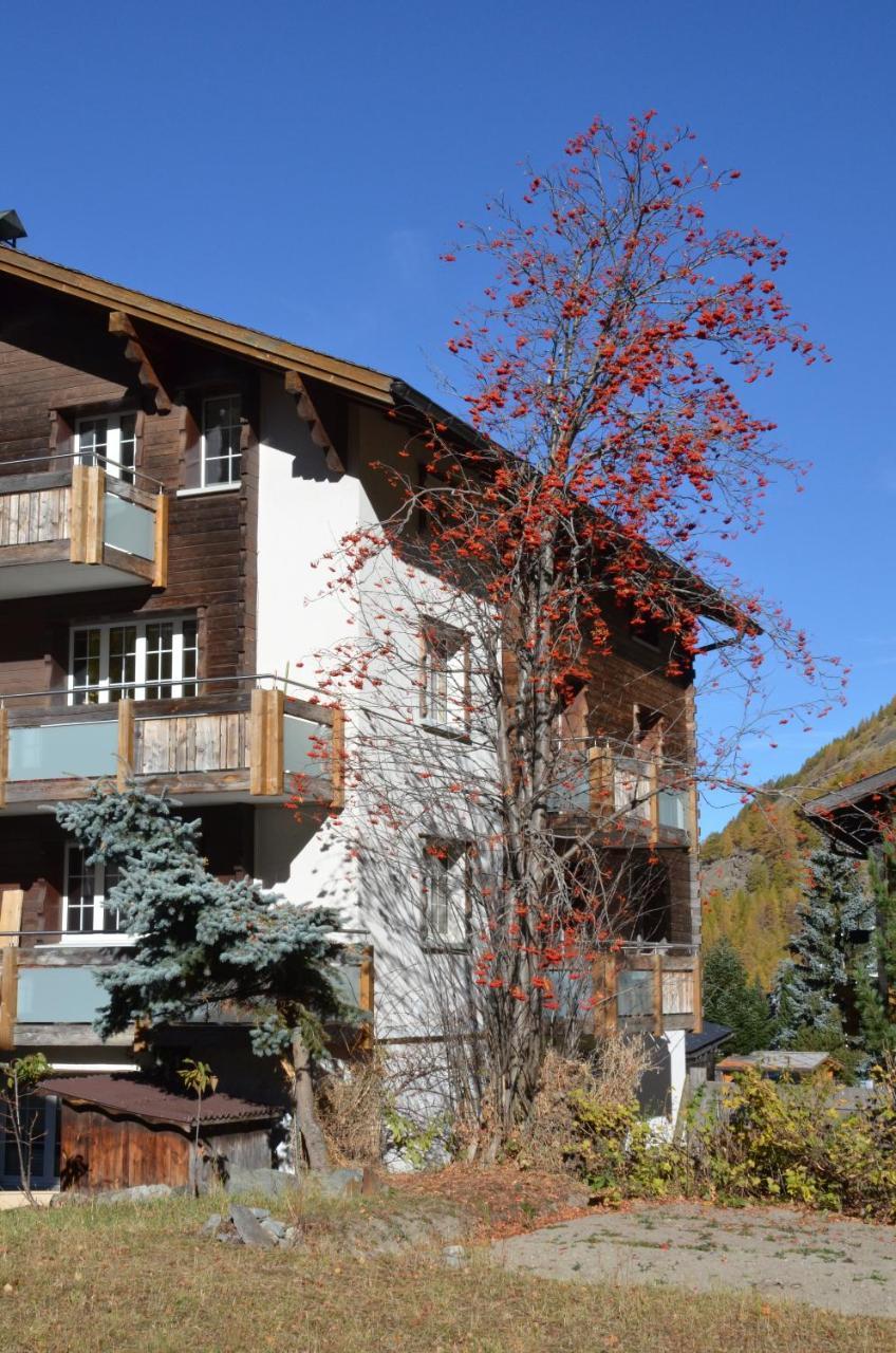Haus Alpenperle Apartment Saas-Almagell ภายนอก รูปภาพ